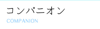 コンパニオン